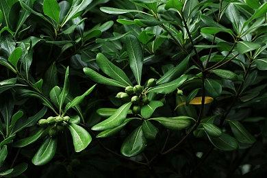 《抓抓地牢》Steam试玩发布 抓娃娃机元素地牢探险